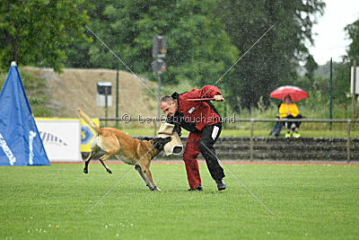 Bison vom bösen Onkel