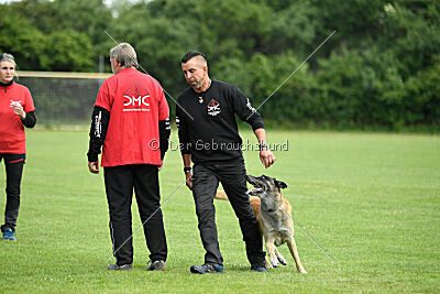 Bison vom bösen Onkel