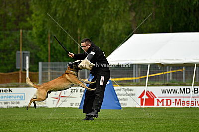 Bison vom bösen Onkel