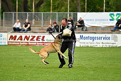 Bison vom bösen Onkel