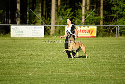 Bison vom bösen Onkel