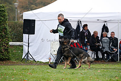 Biss vom Haus Salztalblick