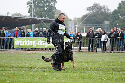 Biss vom Haus Salztalblick