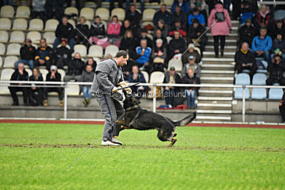 Biss vom Haus Salztalblick