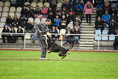 Biss vom Haus Salztalblick