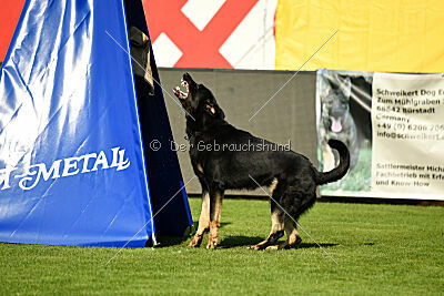 Black-Jack Allgäuer Lausbuben