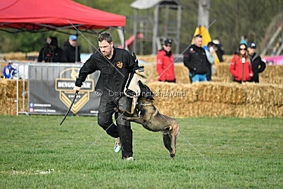 Black Jack vom Heldenkreuz