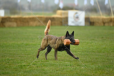 Black Jack vom Heldenkreuz