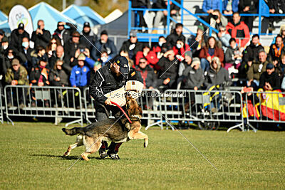 BlixtraSport's Astor