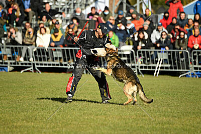 BlixtraSport's Astor