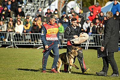 BlixtraSport's Astor