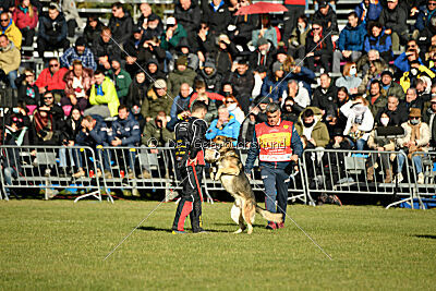 BlixtraSport's Astor