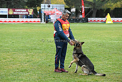 BlixtraSport's Astor