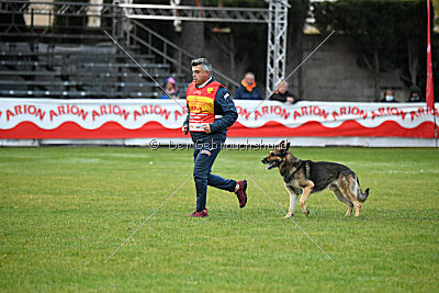 BlixtraSport's Astor