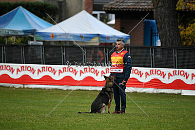 BlixtraSport's Astor