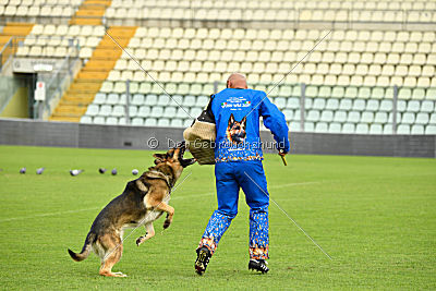 Blixtrasport's Astor