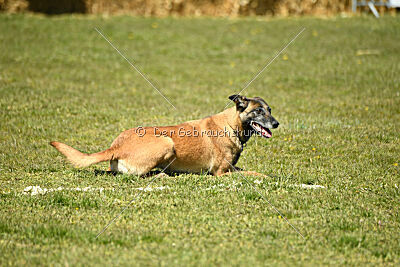 Blöf vom puren Leben