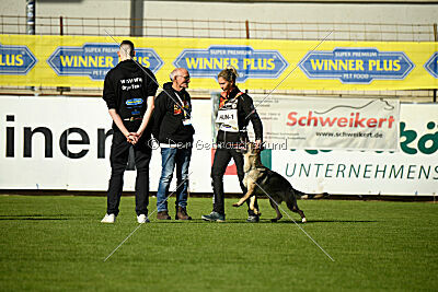 Blondy von Starker Wille