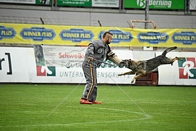 Blondy von Starker Wille