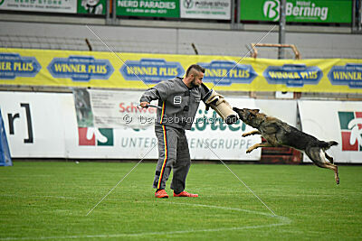 Blondy von Starker Wille