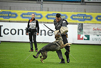 Blondy von Starker Wille