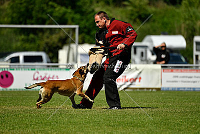 Blues vom Haus Mecki
