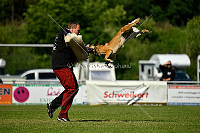 Blues vom Haus Mecki