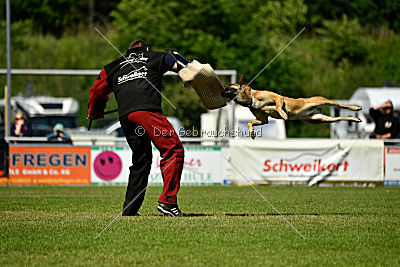 Blues vom Haus Mecki