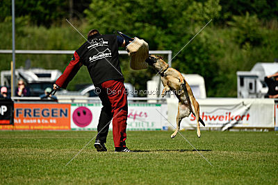 Blues vom Haus Mecki