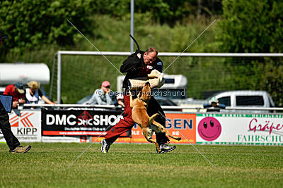 Blues vom Haus Mecki