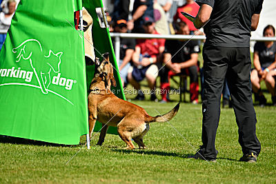 Blues vom Haus Mecki