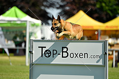 Blues vom Haus Mecki