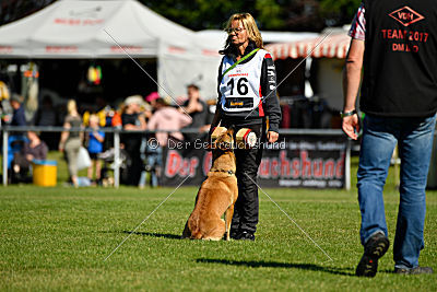 Blues vom Haus Mecki