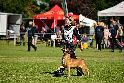 Blues vom Haus Mecki