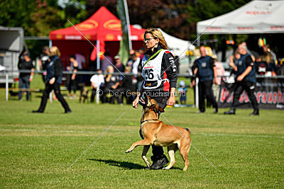 Blues vom Haus Mecki