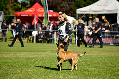 Blues vom Haus Mecki