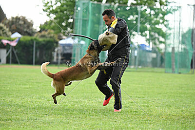 Bob Marley vom Puren Leben