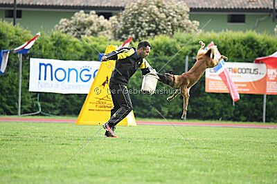 Bob Marley vom Puren Leben