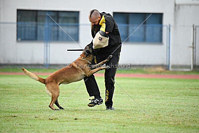Bob Marley vom Puren Leben
