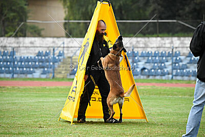Bob Marley vom Puren Leben