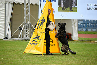 Boit Sako vom Marchberger