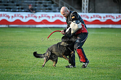 Boit Sako vom Marchberger