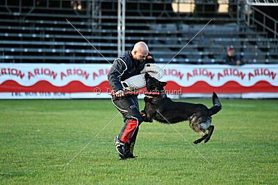 Boit Sako vom Marchberger