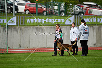 Bolt van Kluggenheim