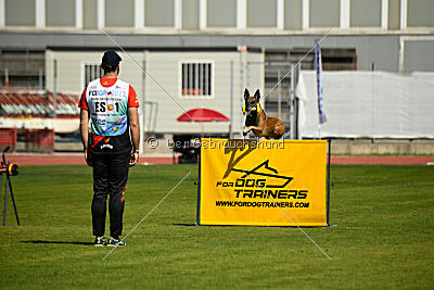 Bomba del Tiempo de Fontemordant