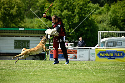 Bondage von Zamonien