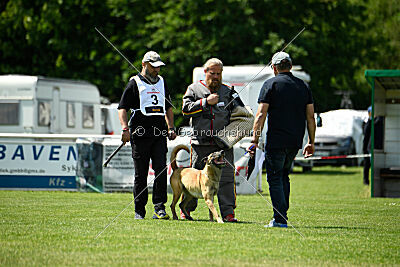 Bondage von Zamonien