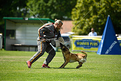 Bondage von Zamonien