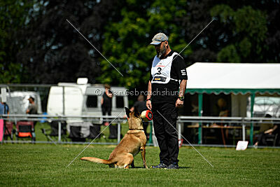 Bondage von Zamonien