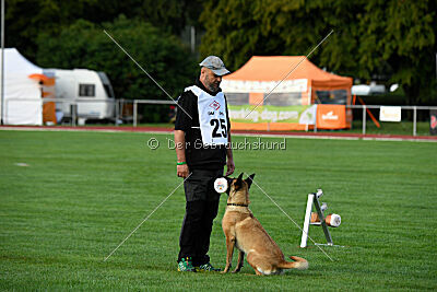 Bondage von Zamonien